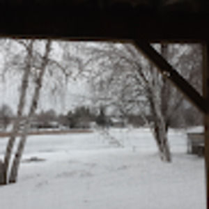 Meet your Posher, Wilson